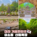 상소동 산림욕장(하) | 대전 가볼만한곳 상소동 산림욕장 물놀이 가능한 숲속 놀이터