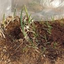 몽실하우스 이미지