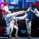 고양시청 이미지