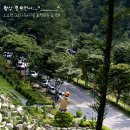 고산자연휴양림 이미지