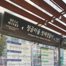 레지던스나무