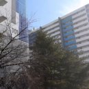 노원역공인중개사사무소 이미지