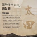 서애 류성룡선생의 형, 류운룡선생이 앞 날을 예고한 계룡사부설 이미지