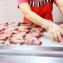 애견팡팡 이미지