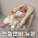 트립트랩 뉴본 커버 호환 가능한 엔젤앤비 곰돌이 뉴본세트 교체 후기