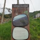 성실한청년목수