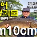 아붕