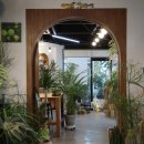 포항시남구65 | 포항 남구 꽃집 꽃을 든 남자｜칠순 축하 선물 호접란 화분 후기