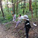 구룡초등학교(병설) 이미지