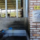 칠갑산 목장 네이버블로그