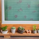 요기가펜션 이미지