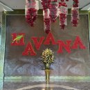 스카이 토탈 휘트니스 센타 | 하바나 나트랑 호텔 (Havana Nha Trang)내돈내산 후기 + 수영장, 조식, 헬스장, 루프탑 스카이라이트 클럽