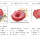 01시스템