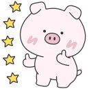 알파스튜디오필라테스