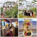 부송농장 이미지