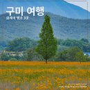 낙동강체육공원 2주차장 화장실 | 구미 금계국 명소 3곳, 강정 습지, 구미보, 낙동강 체육공원