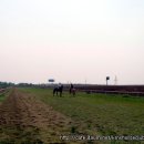 우리승마장 이미지