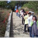 동환목장 이미지