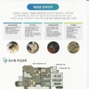 (주)메디옴 이미지
