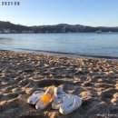 HERTZ(헤르츠) 이미지