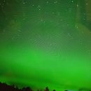 신기한 과학 탐구생활 이미지