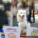 얌얌펫키친 이미지