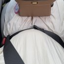 국일가스 | 임신 21주차 일상