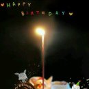 추카추카 이미지