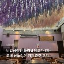 데코플라워 - 성남시 분당구 탄천상로151번길 20 | 고베 산노미야 카페 천장의 플라워 데코가 인상적인 커피 춘추 / 코히 슌주 후기 위치 메뉴 내돈내산
