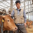 조은한우농장 이미지