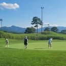 필드스크린골프 | 강릉 올림픽스크린골프 정기 필드 정모 후기 ⛳️🌿