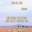 시화간척지(대형화훼단지) | 겨울 가볼만한곳 경기도 서해랑길91코스 대부도 바다향기테마파크