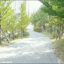 오가낭뜰 족구장 네이버블로그
