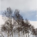 홋카이도 이미지