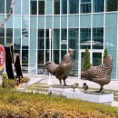 선진기업 이미지