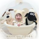 버드시아 | 신생아부터 두돌까지 사용 가능 버드시아 디럭스 아기욕조, 등받이 높은 신생아 욕조 추천