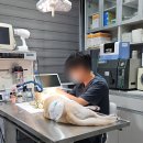 힐링동물병원 &  건강검진센터 이미지