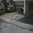 오르보 - 11781 | 오르보