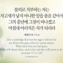 오늘의 '영어성경 사진'(648강) “부정한 수단으로 재물을 얻는 사람들”(예레미야 17장 11절) 이미지