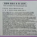 정윤복, 정호선묘 및 신도비 이미지
