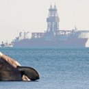 대왕주유소 이미지