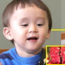 먹보고기 이미지