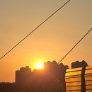 소리천로(1) 이미지