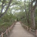 ＠ 싱그러운 푸른 숲과 연꽃의 즐거운 향연 ~ 함양 상림공원 (한남군묘역) 이미지