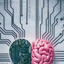 (주)다미 이미지