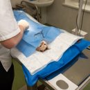 백정형외과의원 이미지