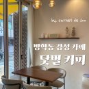 서울방학초등학교 | [방학동 카페 추천] ‘닻별커피’ 주말에도 일찍 열고 예쁜 음악이 흘러나오는 감성 카페 (시간, 메뉴...
