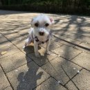 쉬리미용실