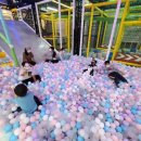 길안초교 이미지