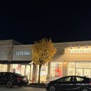 11545-11-31-26 | 10/26-11/1 일상 기록